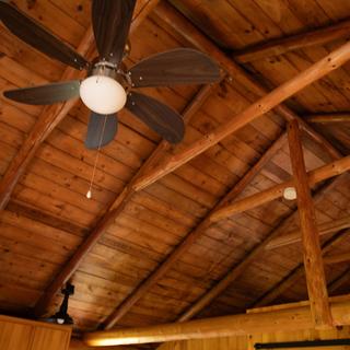 Ceiling fan