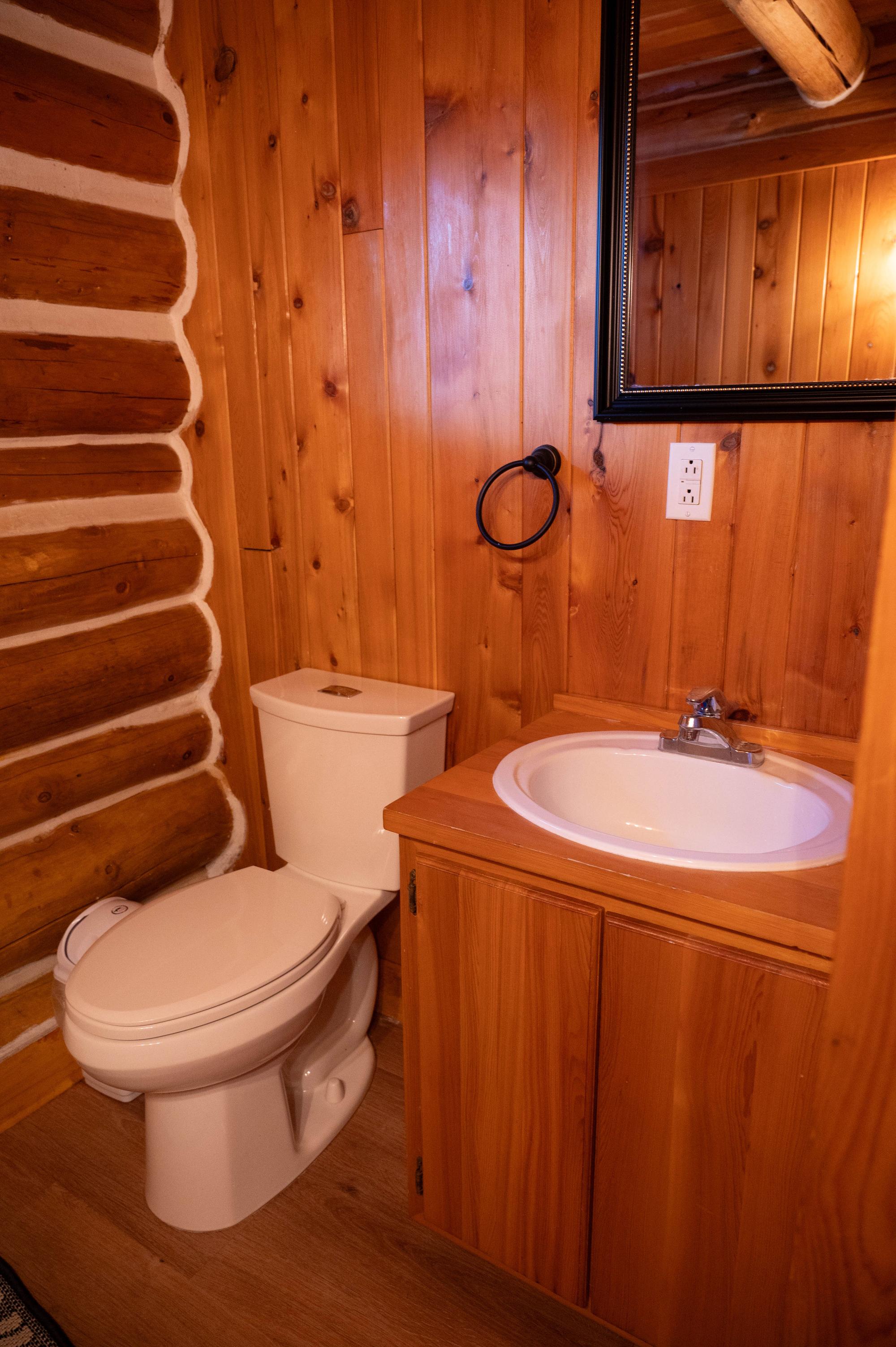 Bathroom sink and toilet