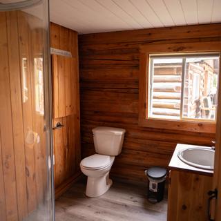 Bathroom toilet and shower