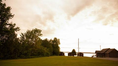 Lawn and shoreline